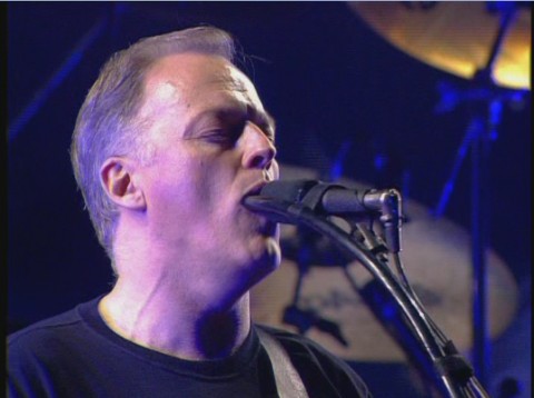 David Gilmour