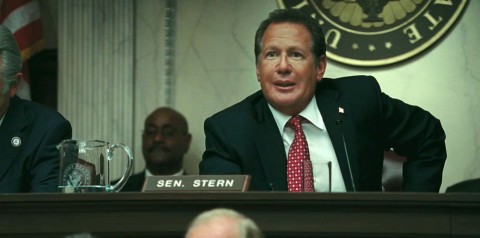 Garry Shandling as Senator Stern in the 'Iron Man' film franchise.