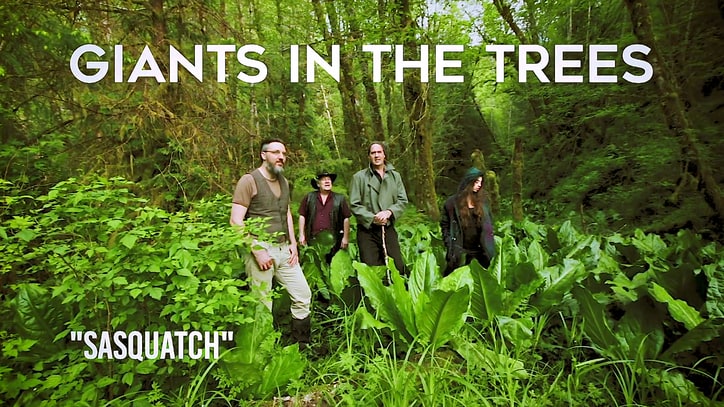 Hear Krist Novoselic’s Debut Song With New Band Giants in the Trees