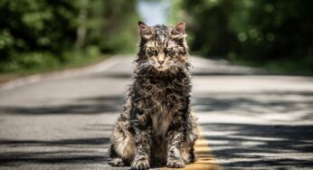 Trailers of the Week: ‘Pet Sematary,’ ‘Aladdin,’ ‘Glass’