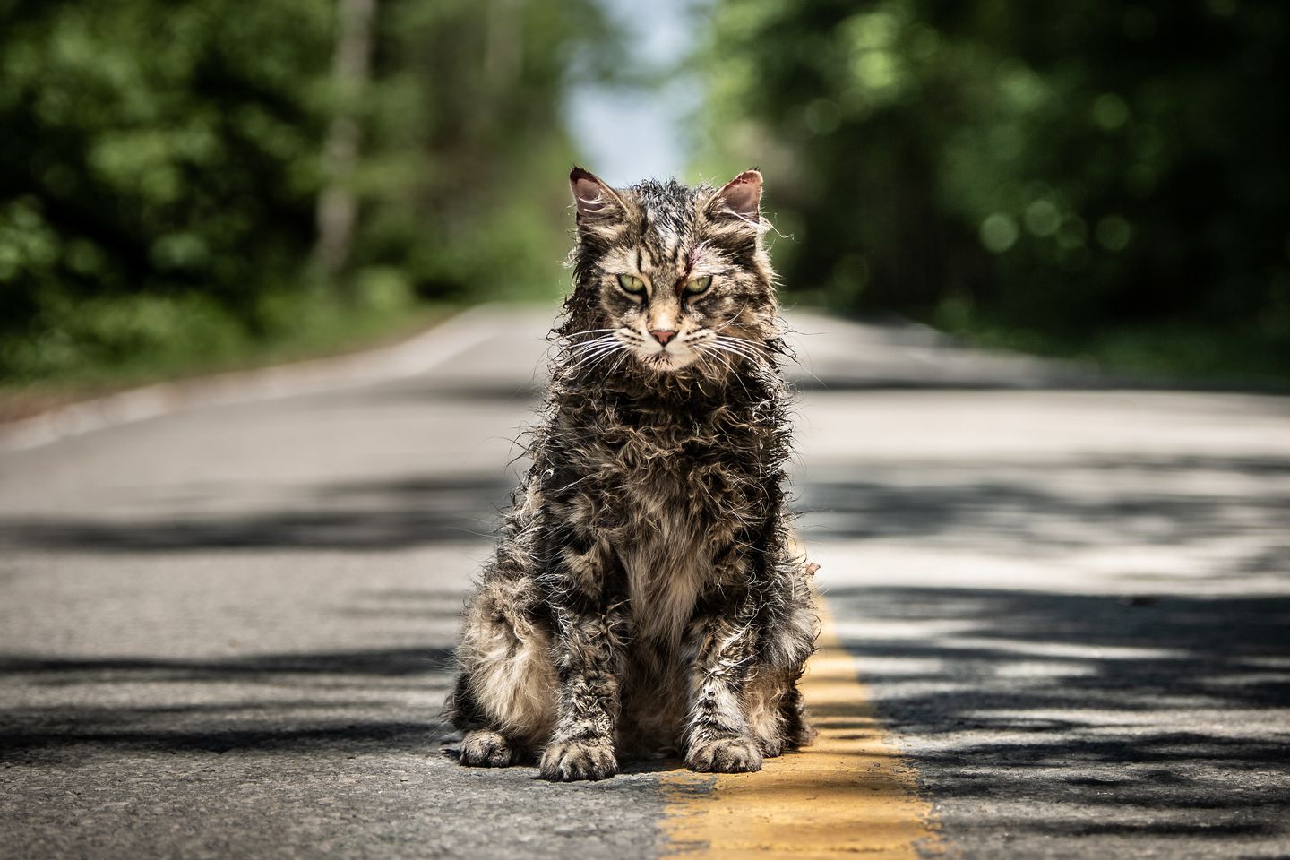 Trailers of the Week: ‘Pet Sematary,’ ‘Aladdin,’ ‘Glass’