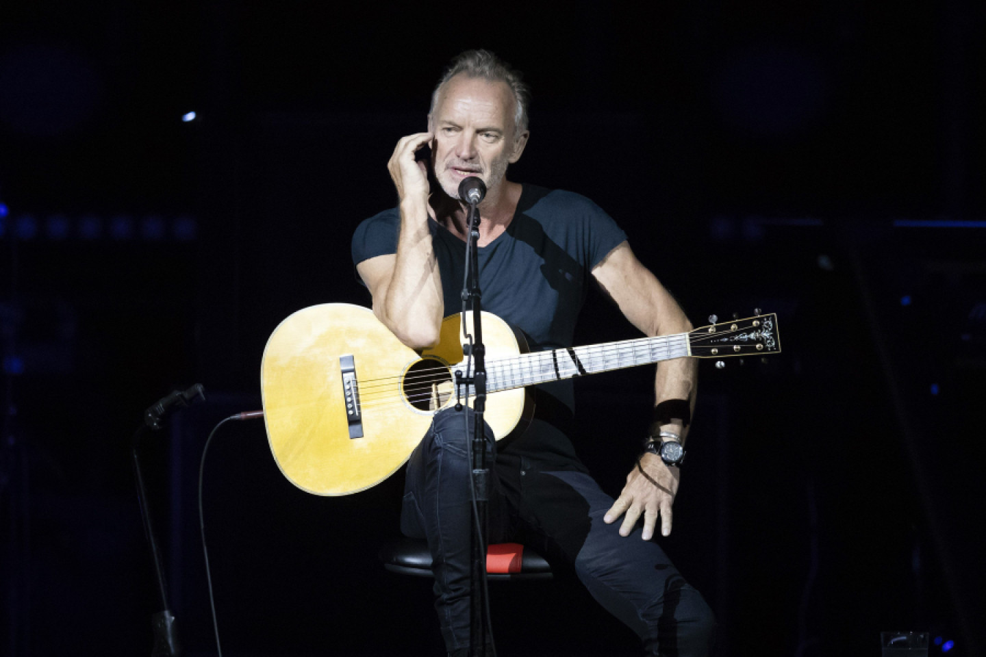 Sting Condemns Brazil’s Handling of Amazon Fires: ‘We Will All Suffer the Consequences’