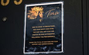 Tina Turner musical poster