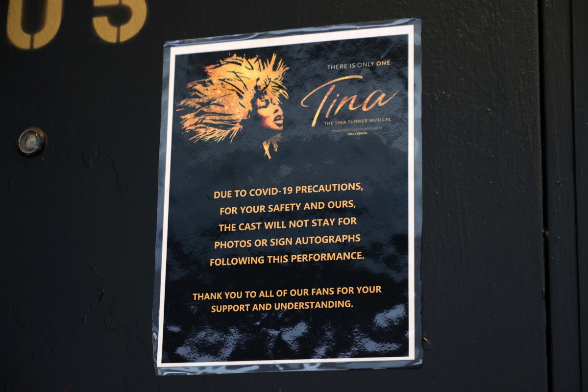 Tina Turner musical poster