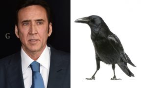 Nicolas Cage