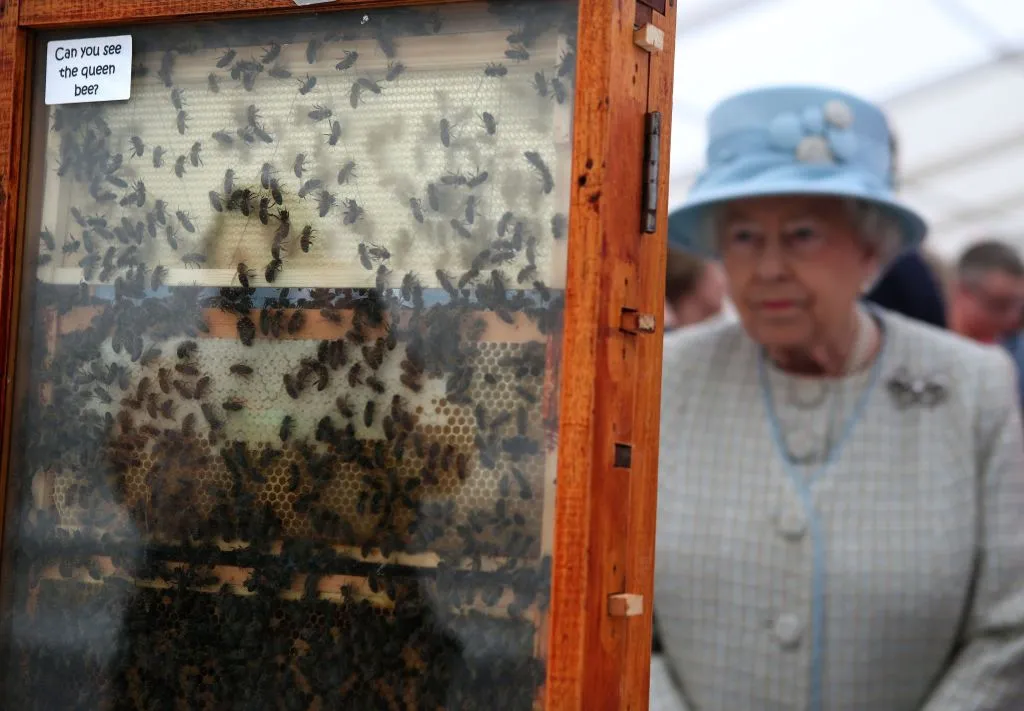 Queen Elizabeth II’s Bees Have Been Informed of Her Death