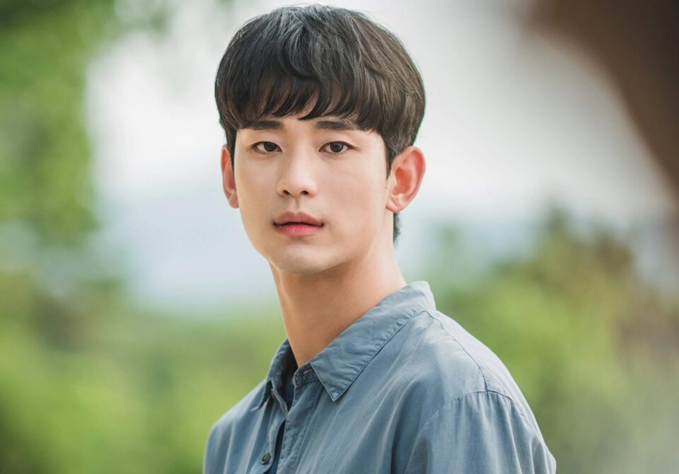 Six Memorable K Drama Characters Of Kim Soo Hyun 4013