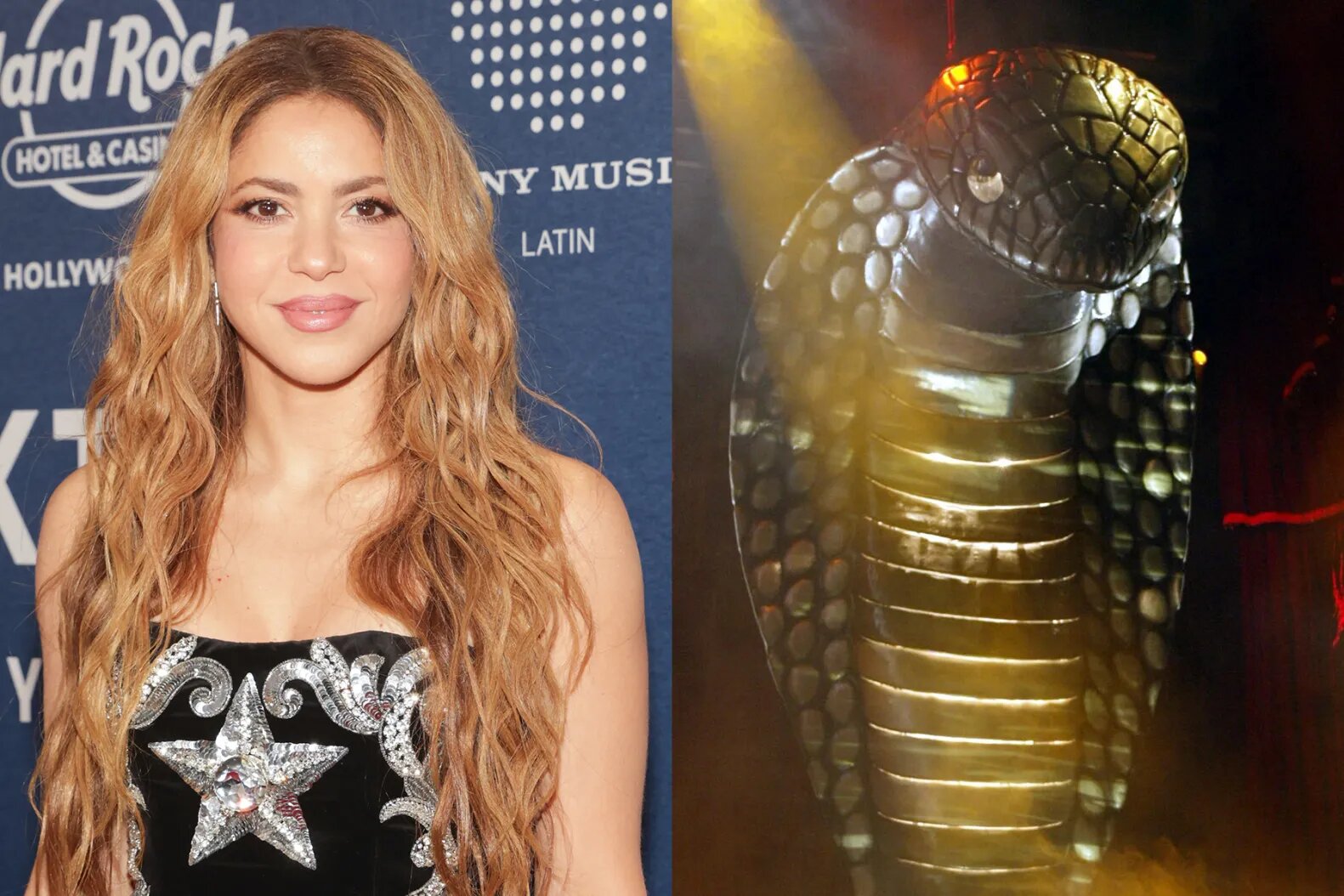 Shakira Says She ‘Lost Money’ on Her First World Tour Because of a $1 Million Cobra