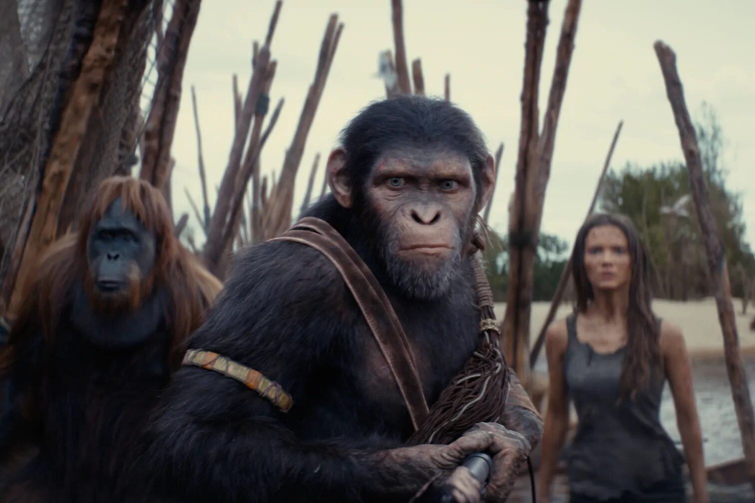 ‘Kingdom of the Planet of the Apes’ Takes the Series One Evolutionary Step Backward