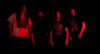 Defeated Sanity Set For India Debut This Week