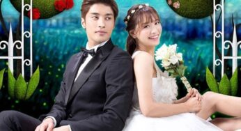 K-Drama Flashback: ‘Noble, My Love’