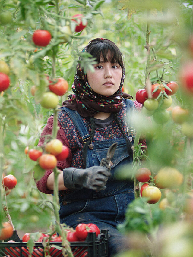 DIFF 2024: Films to Watch