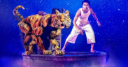 A poster for 'The Life of Pi' stage adaptation.