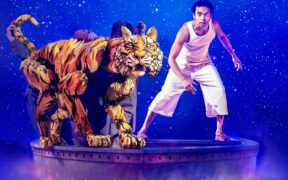 A poster for 'The Life of Pi' stage adaptation.