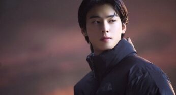 Cha Eun-woo’s Top K-Dramas, Ranked