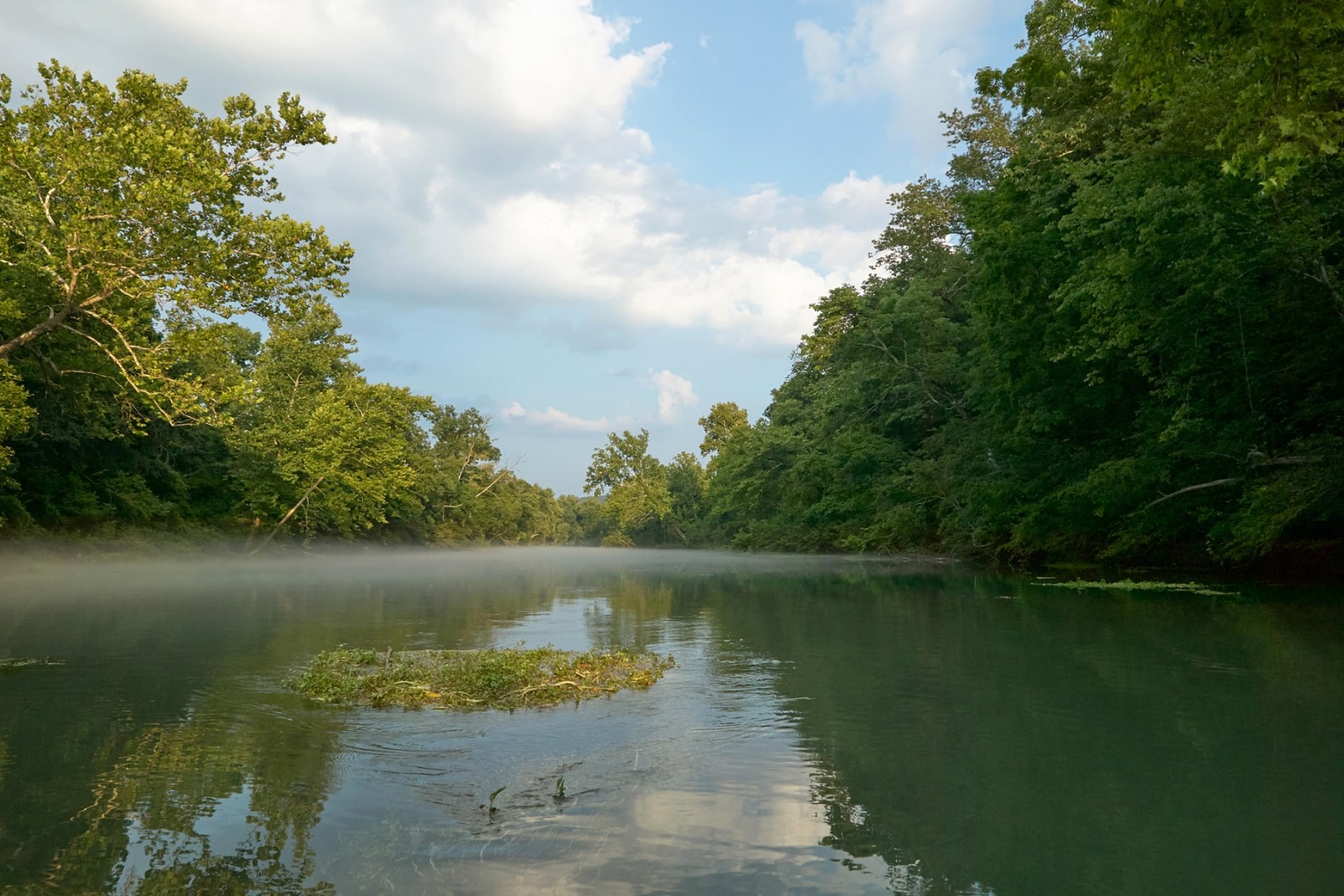 He Grew Obsessed With an AI Chatbot. Then He Vanished in the Ozarks thumbnail