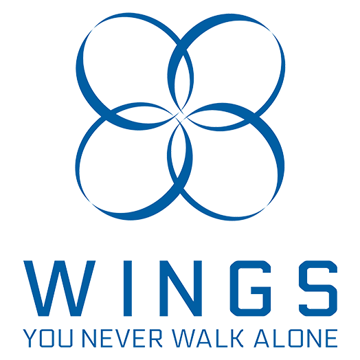 BTS Logo Wings Era